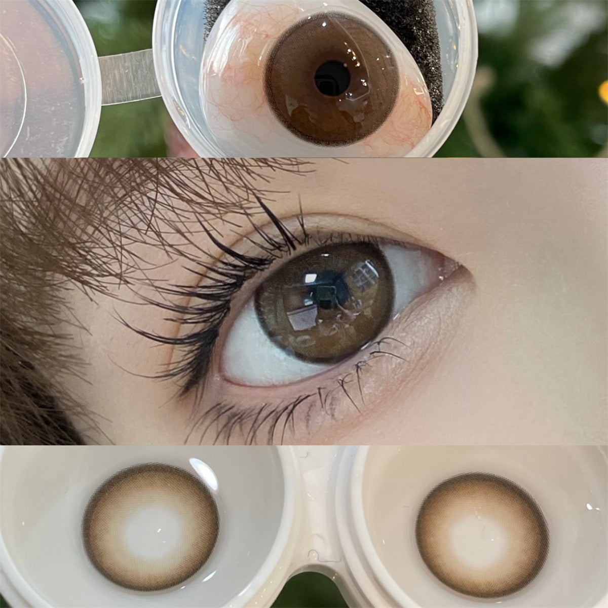 Morningcon Amber Tears ash Colored Contact Lenses For Eyes Half Yearly 2pcs